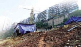 重庆奉节县爆料案件最新